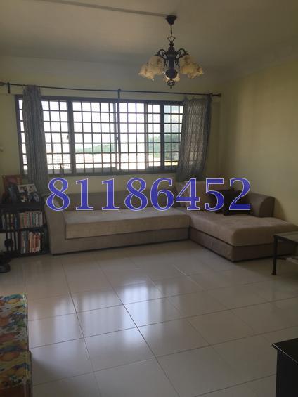 Blk 204 Choa Chu Kang Avenue 1 (Choa Chu Kang), HDB Executive #76126332